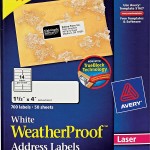 Avery® White WeatherProof™ Labels-5522